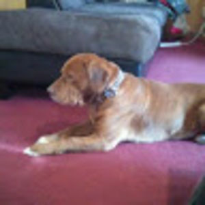 Meet your Posher, Greg